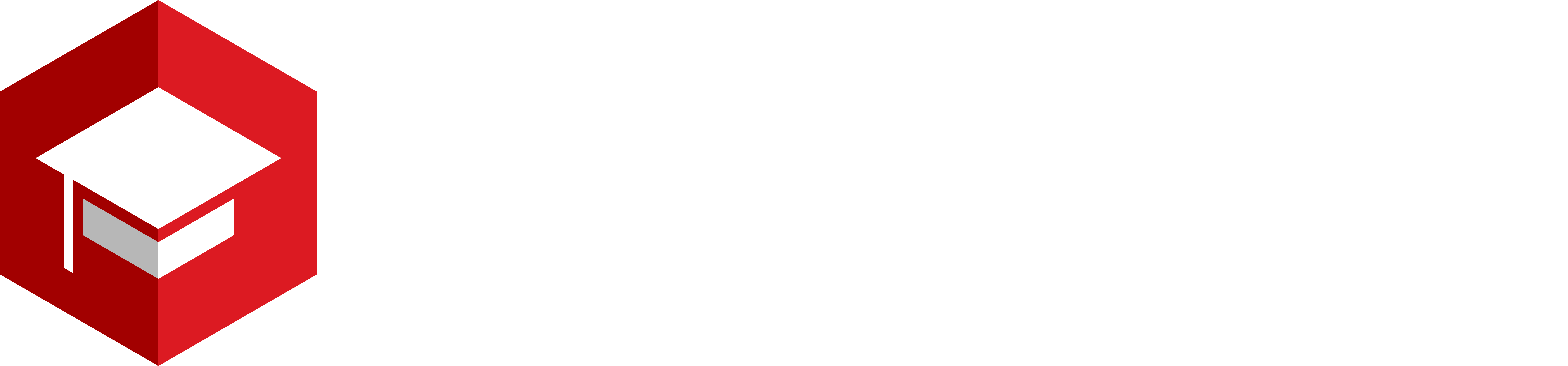 Johner Academy Logo
